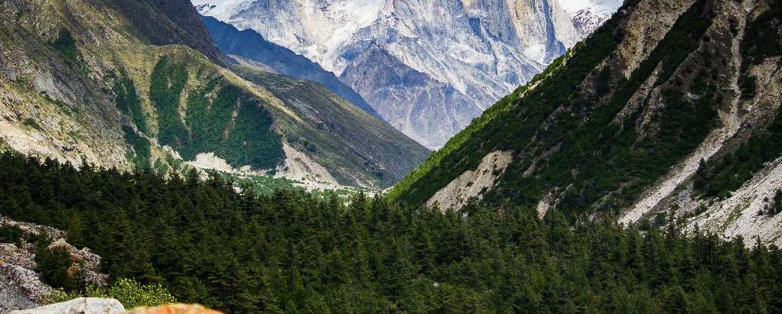 Gangotri National Park - A Heavenly Spot near Gangotri Dham